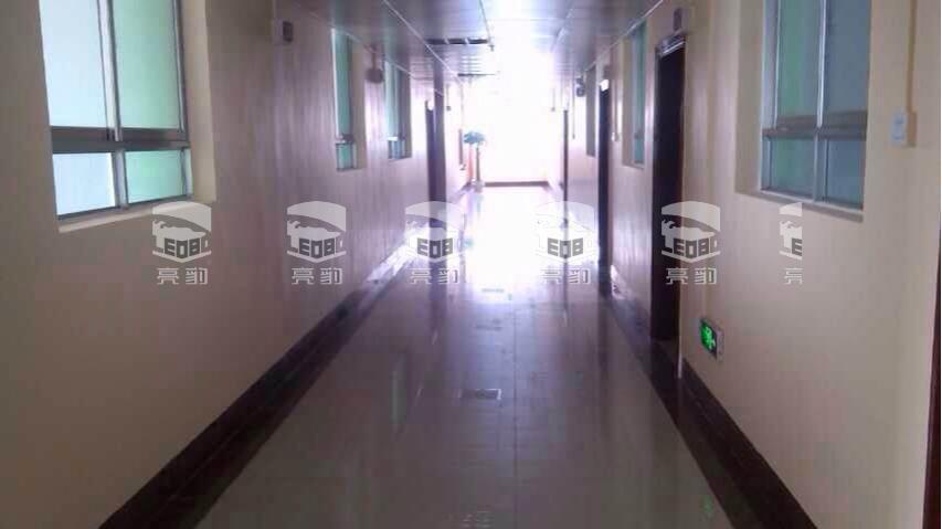 广西苍梧医院—亮豹抑菌墙面漆工程案例