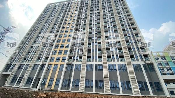 东江外语实验学校—亮豹无机涂料工程案例